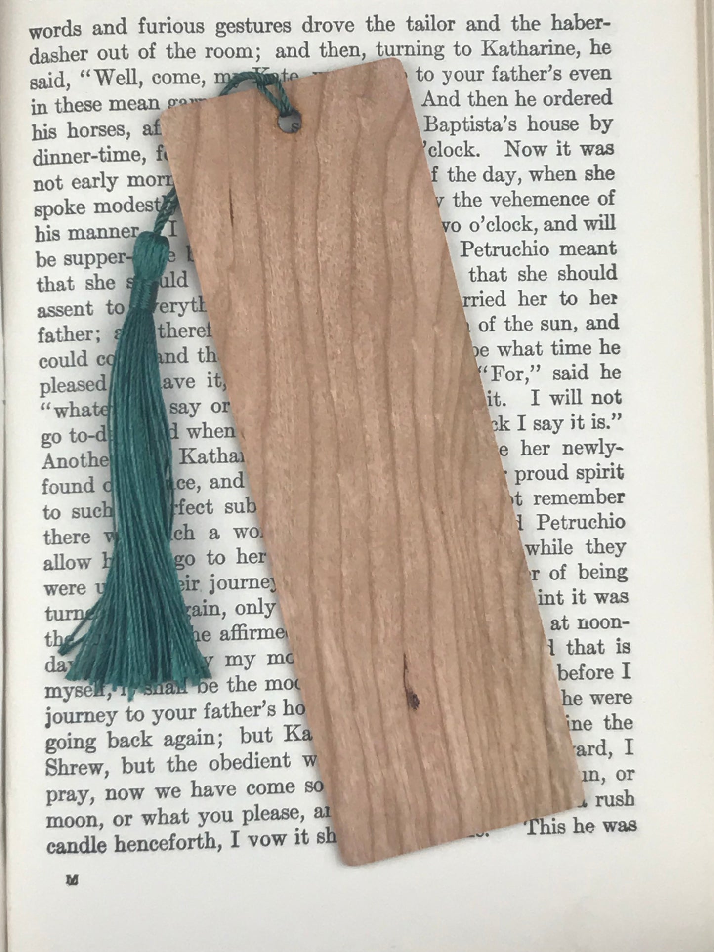 House Plant Wooden Bookmark